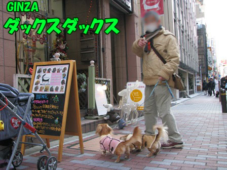 004_20101225230502.jpg