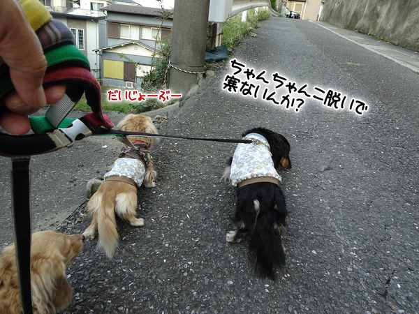 m-20191024-1