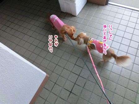 004_20140926001621a02.jpg