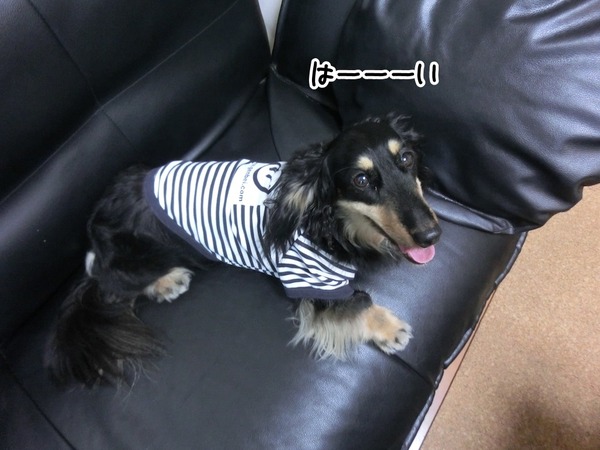 20180703don-6