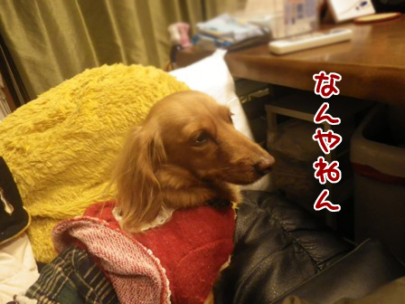 016_20150106233050cfc.jpg