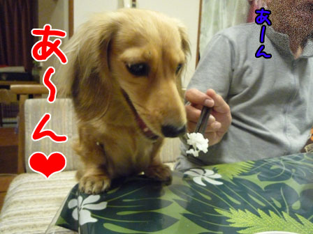 005_20110124232233.jpg