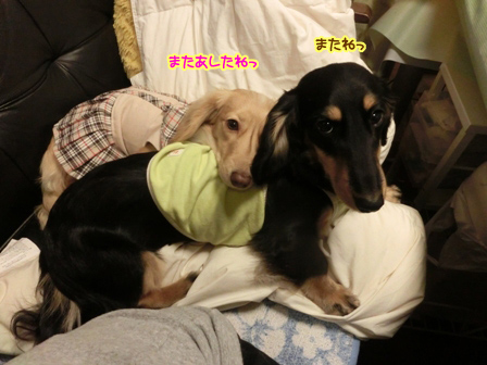 002_2014040323535527b.jpg