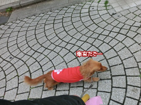 201512154.jpg