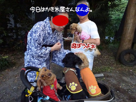017_201508152324396d1.jpg