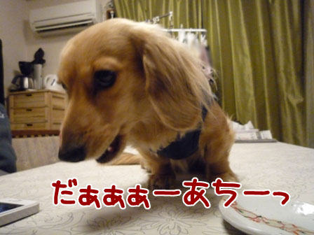 013_20120227213801.jpg