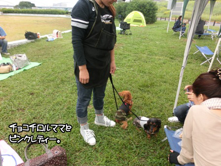 20151011012.jpg