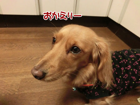 008_2013120700044446c.jpg