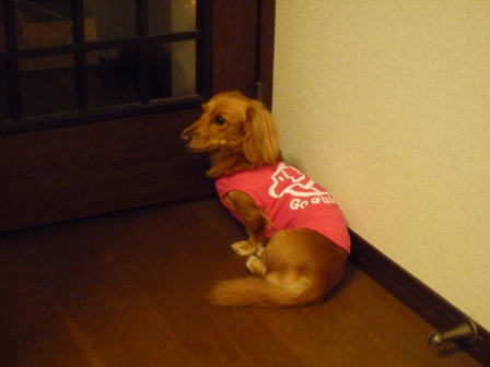 004_20111023233520.jpg