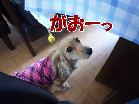 003_20120727235614.jpg