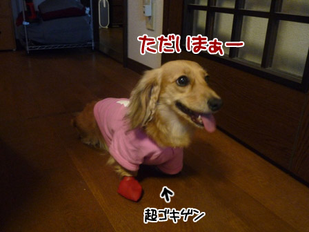009_20120807223834.jpg