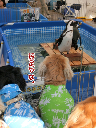 028_201504262304459ed.jpg