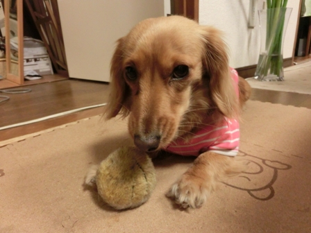 003_20130502215916.jpg