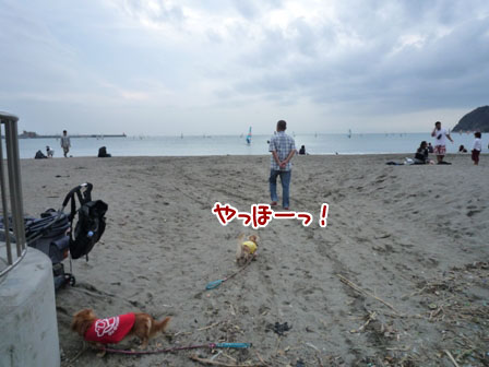 008_20111003001713.jpg
