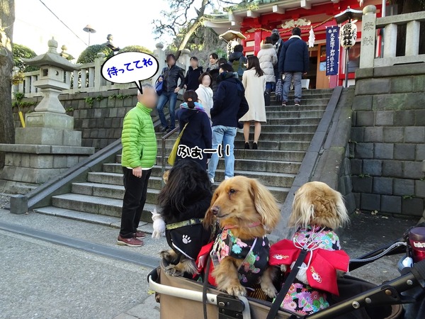meruloco20190105-7