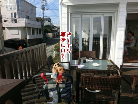 005_20130602235309.jpg