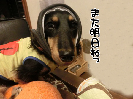 20151030004.jpg
