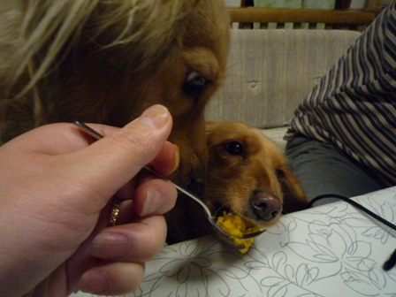 027_20120124214114.jpg