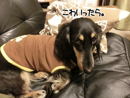201512145.jpg
