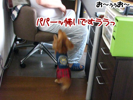 009_20110523223849.jpg