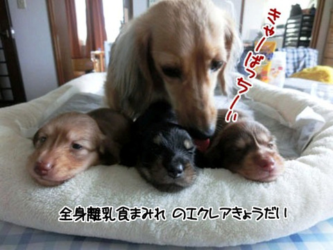 プロフィール06