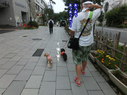 007_201408142208039e5.jpg