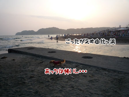 013_20110812230501.jpg