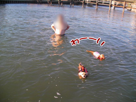 008_20120802235050.jpg