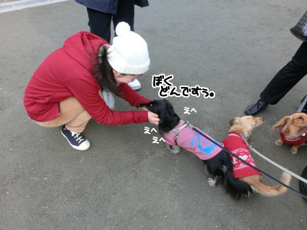 2015113015.jpg
