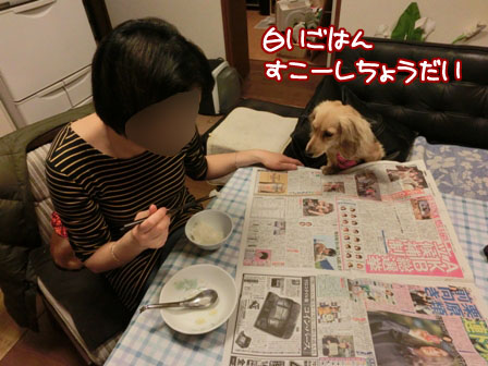 035_20130327232606.jpg