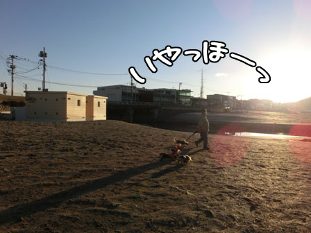018_20131129232004392.jpg