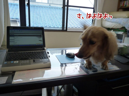 007_20120627231405.jpg