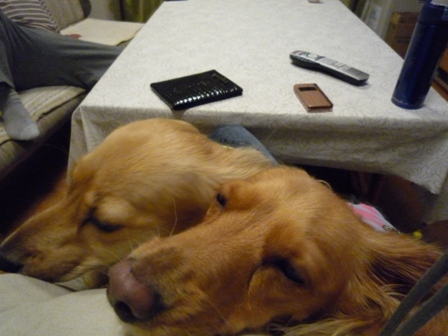 032_20111123232630.jpg