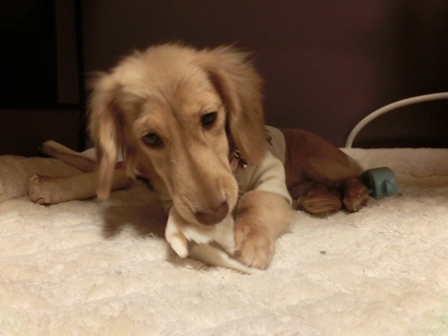 009_20131213221912bdf.jpg