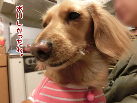007_20130316000549.jpg