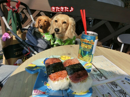 022_20130505224449.jpg