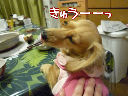 014_20110225220525.jpg