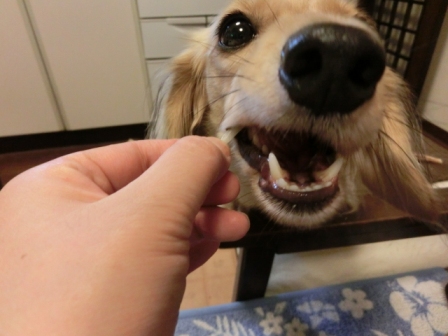 004_20120925230410.jpg