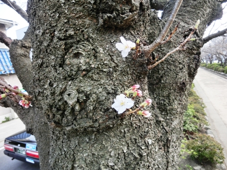 014_20130318234349.jpg