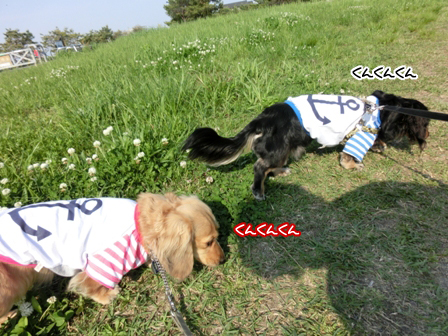 201605012.jpg