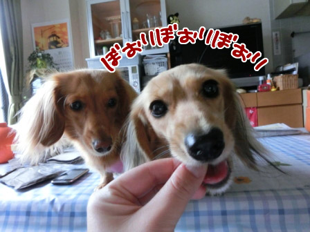 024_20120927225506.jpg