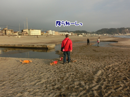 008_20150222231826bf5.jpg