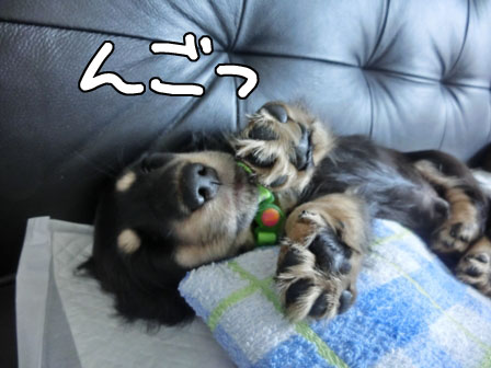 022_2013081700145453f.jpg
