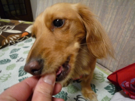 029_20110422230441.jpg