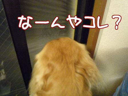 022_20120126002426.jpg