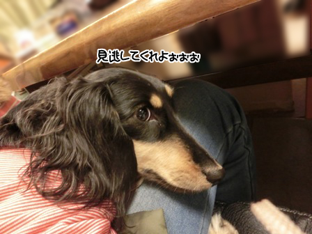 201512234.jpg