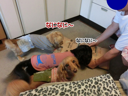 201606081.jpg