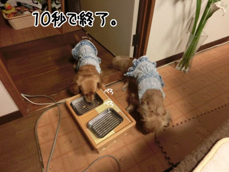 110_20121112225418.jpg