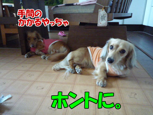 a4b865f6.jpg