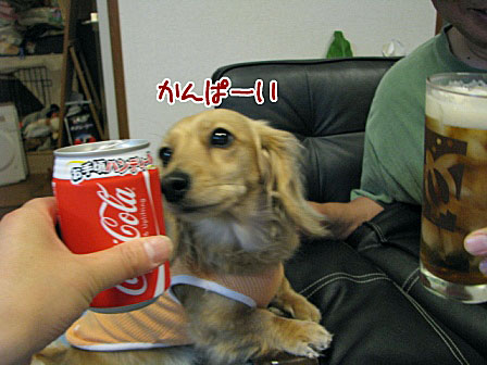 014_20130522224016.jpg